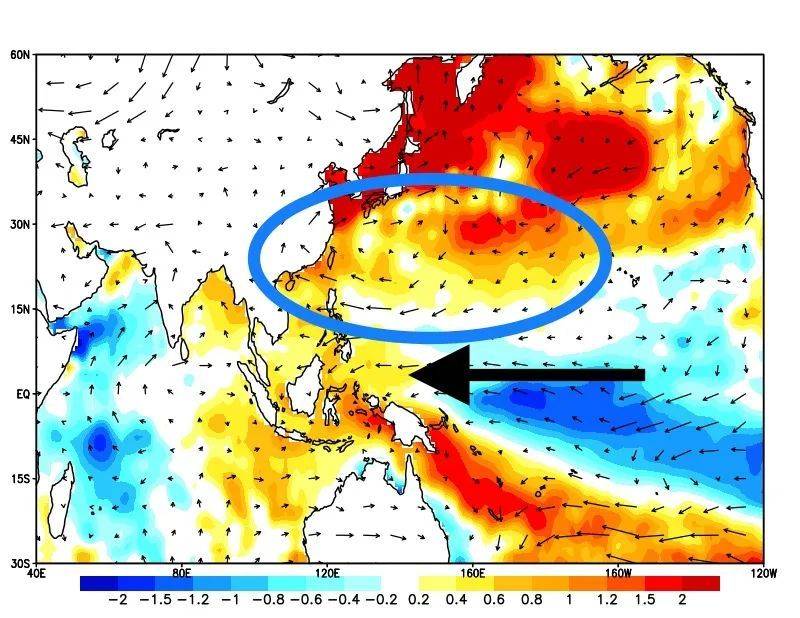 同上图时段，但为海表温度（填色）对流层低层（850hPA）风场的距平。可以看出赤道太平洋信风显著偏强（顺着黑色箭头）与偏强的副热带高压（蓝圈标出）<br>