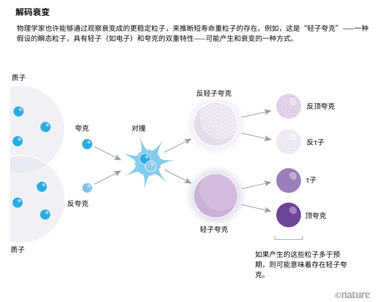 Nik Spencer/Nature<br label=图片备注 class=text-img-note>