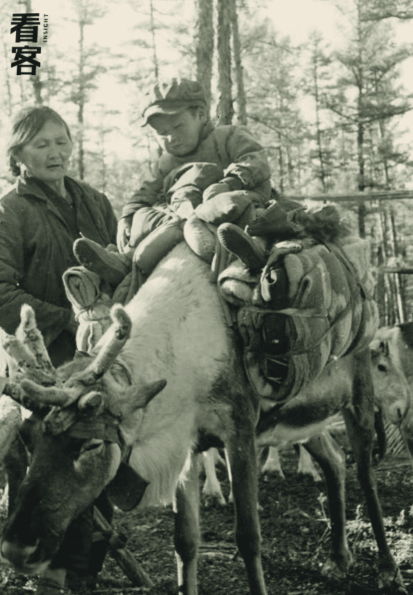 1971年，玛丽亚·索部族搬迁，驯鹿上坐着她当时刚1岁的儿子何英刚 / 得克沙