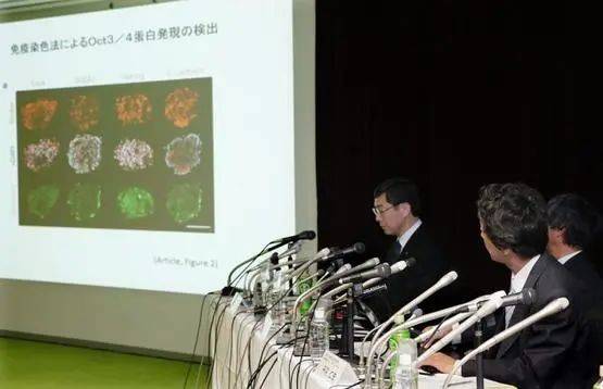 2014年12月，日本理化学研究所的一支团队宣布重复实验的结果。图片来源：nature.com