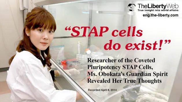 援引国外研究人员发布的论文报道“STAP细胞被再现”的新闻