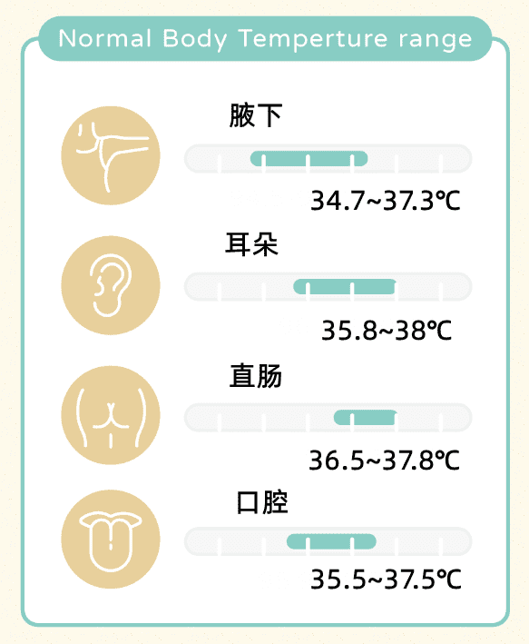 不同测量方式的正常体温范围，一般认为直肠温度最准。（图片来源：Temp Pal）<br>