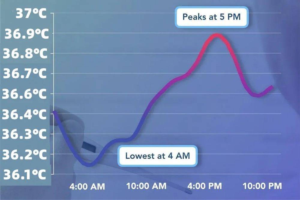 人的体温在一天中的变化。（图片来源：clearvue health）<br>