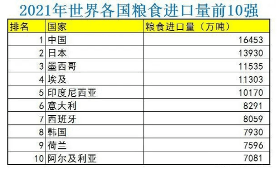 2021年世界各国粮食进口量前10强<br>