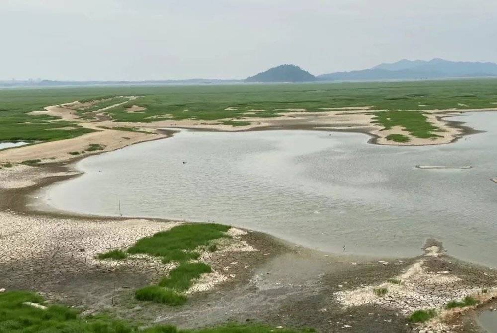 △ 鄱阳湖水位大幅下降，湖床已经长为草原，裸露的干地龟裂。 时代周报 王晨婷/摄<br>