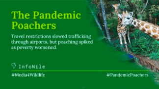 InfoNile 的“疫情中的偷猎者”（PandemicPoachers）项目使用数据来监测非法的野生动物贩运。图：屏幕截图<br>