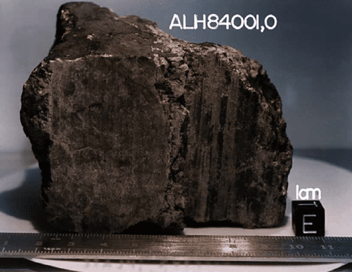ALH84001号火星陨石。来源/Wiki<br>