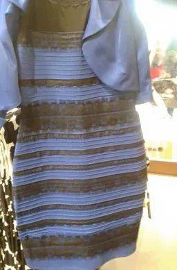 蓝黑白金裙（the Dress），是一张于2015年在网上爆火的洋装照片。对该图片的主要争议点在于该件裙子的颜色究竟是“白色与金色”或是“黑色与蓝色”。这种现象揭示了人类色觉的差异，许多论文已在同行评议的科学杂志上发表。