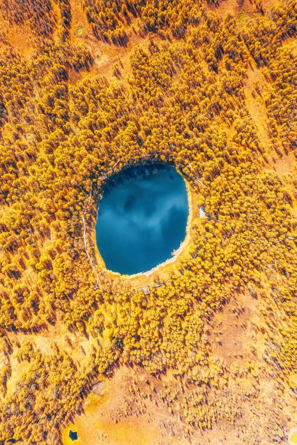 内蒙古兴安盟阿尔山国家森林公园地池秋景。摄影 / 焦潇翔