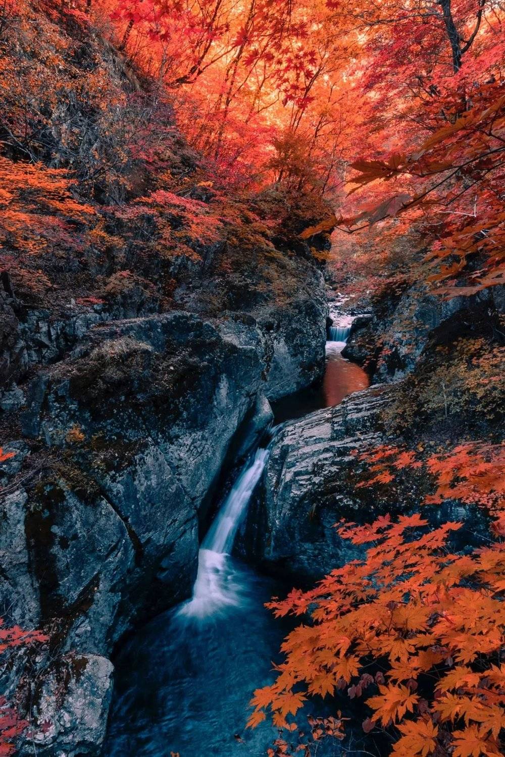 本溪大石湖，秋季的红叶。摄影 / 滕洪亮 