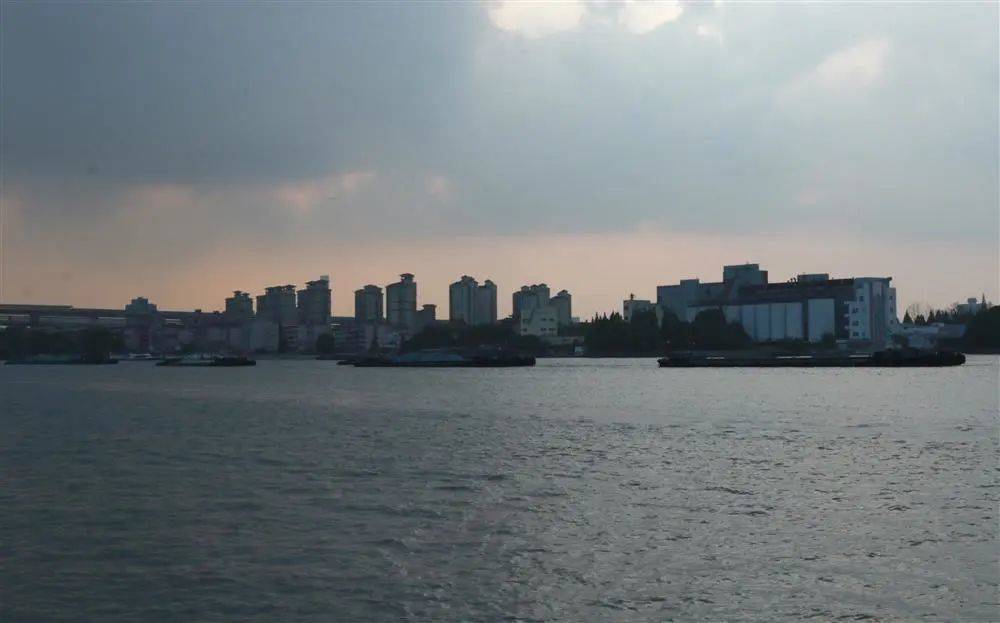 下午4点，许多货船行驶在闵行西渡村的江面上。冯蕊 摄