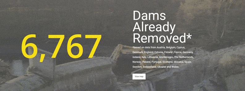 欧洲大坝拆除组织（Dam Removal Europe）的网页。该组织用于交流有关拆除案例研究、分享新闻和信息以及上传影像记录的网站，是为了大坝拆除运动、恢复河流原生状态提供支持和指导的平台。<br>