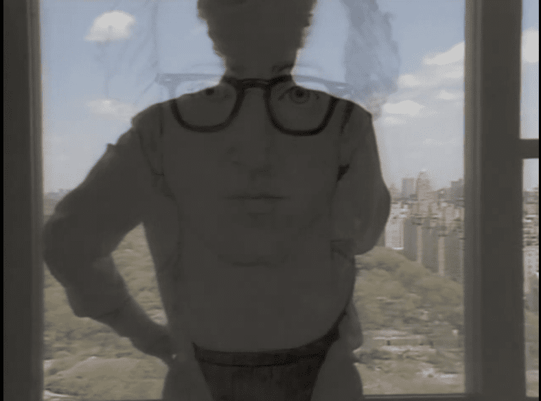 对话短片开场，戈达尔站在窗前俯瞰纽约中央公园的背影与艾伦的画像叠化
