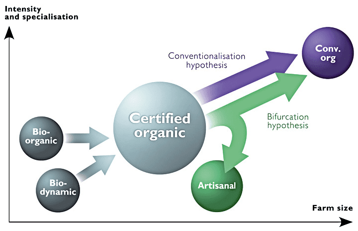 关于有机农业发展的两种假说：一种认为有机农业将常规化（紫色箭头），另一种认为会“分岔”（绿色箭头），常规化的大农场会专注于某些高利润的作物，而“手工”小农场会灵活地种植各种适销的作物。图源：Karp，2015<br>