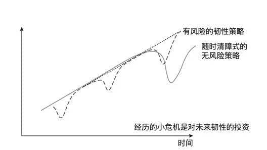 随时清障式的无风险策略与有风险的韧性策略