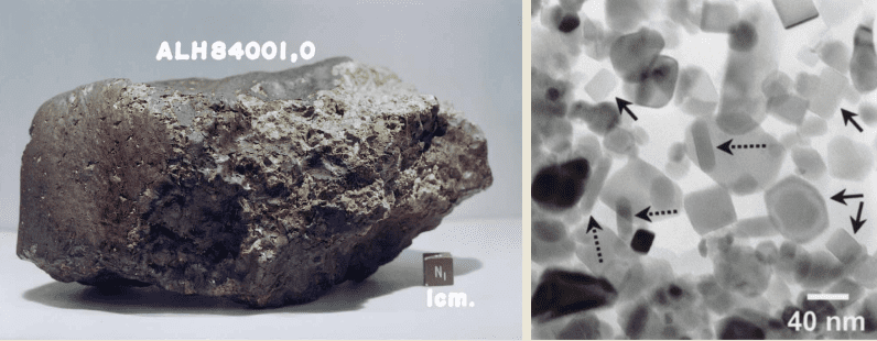 南极陨石ALH84001以及其中的细长磁铁矿晶颗粒。来源／wiki