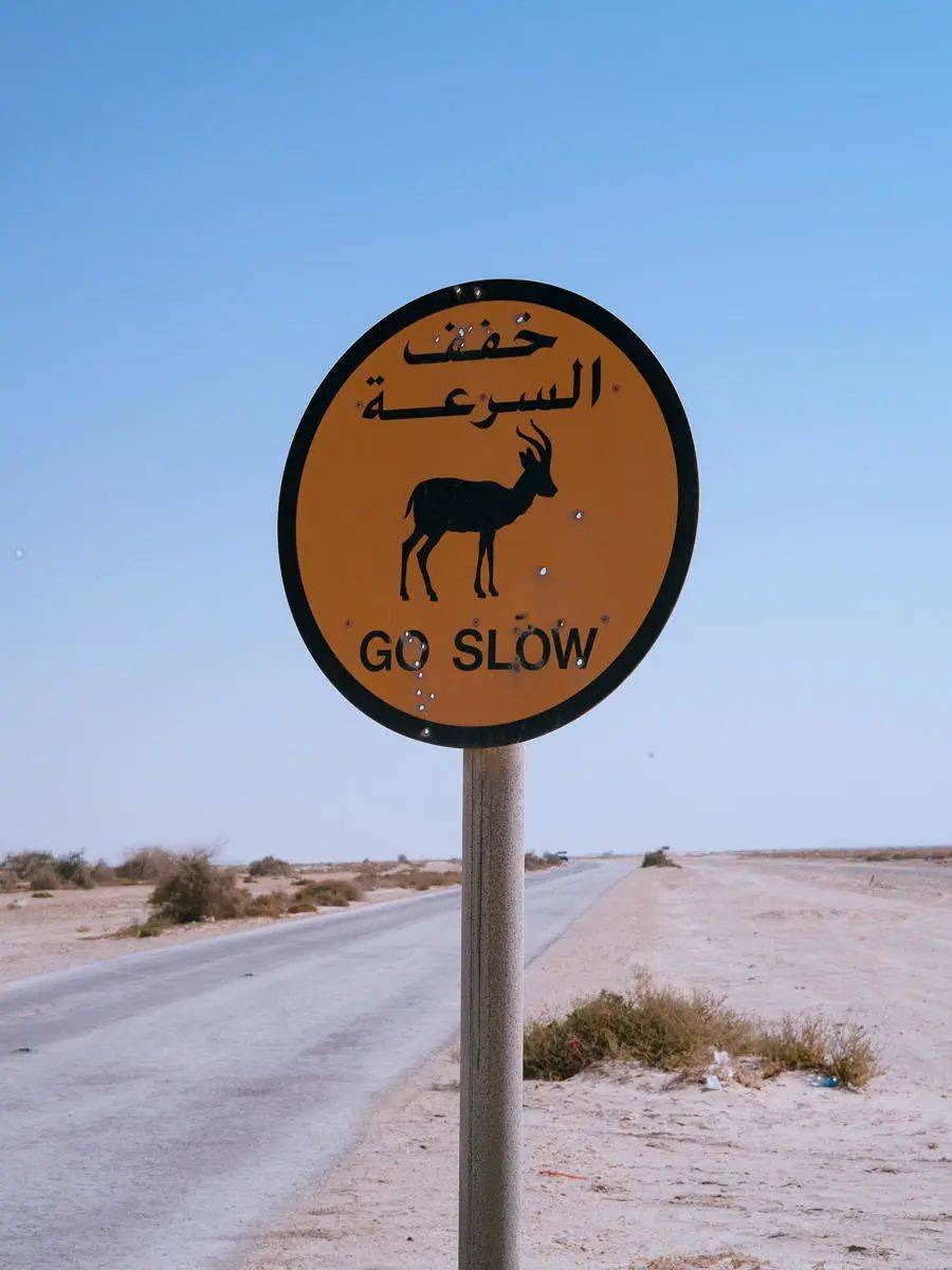 巴林萨拉克，巴林南部荒漠之中的一条窄路边的路牌提示阿拉伯大羚羊出没，然而路牌上布着弹孔。/李亚楠摄