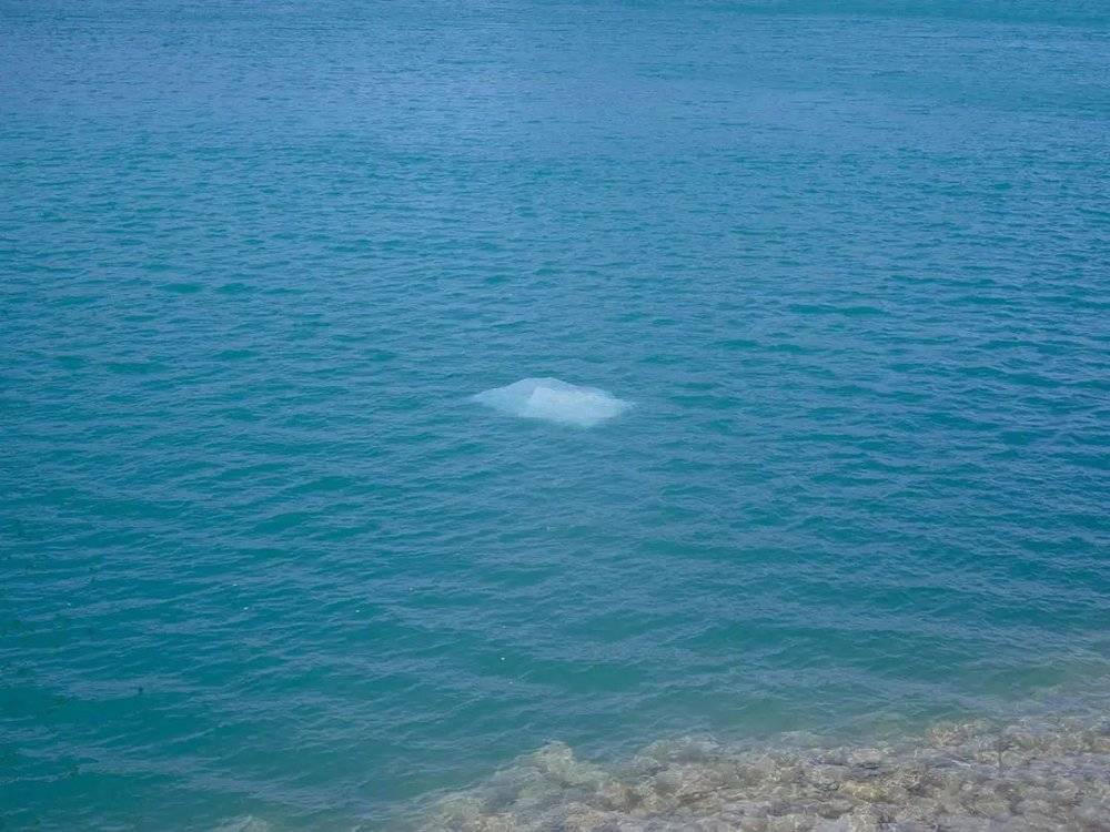 巴林麦纳麦，清澈的海水之中漂浮着白色塑料布。/李亚楠摄