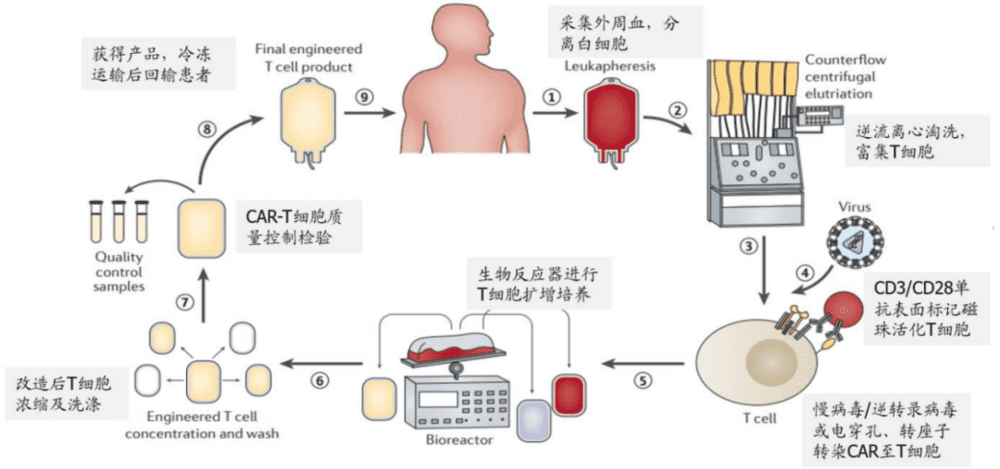 图：CAR-T 细胞疗法生产过程，来源：国盛证券<br>