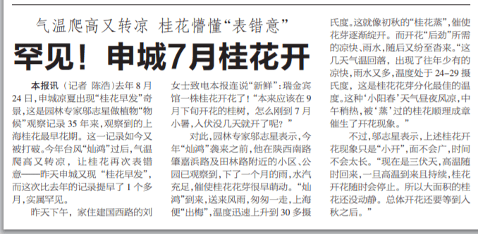 2015年7月20日《新民晚报》上报道桂花早发再破纪录