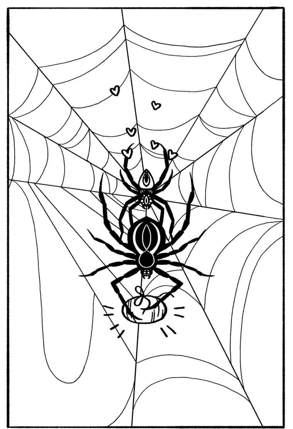 蜘蛛的“聘礼” 。/受访者供图