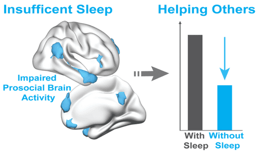 加州大学伯克利分校的科学家们的一项新研究显示，睡眠不足如何极大地减少了帮助他人的欲望，这是由关键的亲社会大脑网络活动的崩溃引发的 | Eti Ben Simon and Matthew Walker， UC Berkeley<br label=图片备注 class=text-img-note>