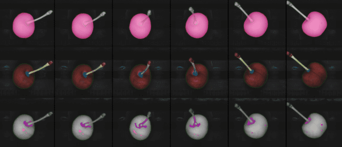 多光谱红外摄像头下的樱桃 图源：Elifab官网<br>