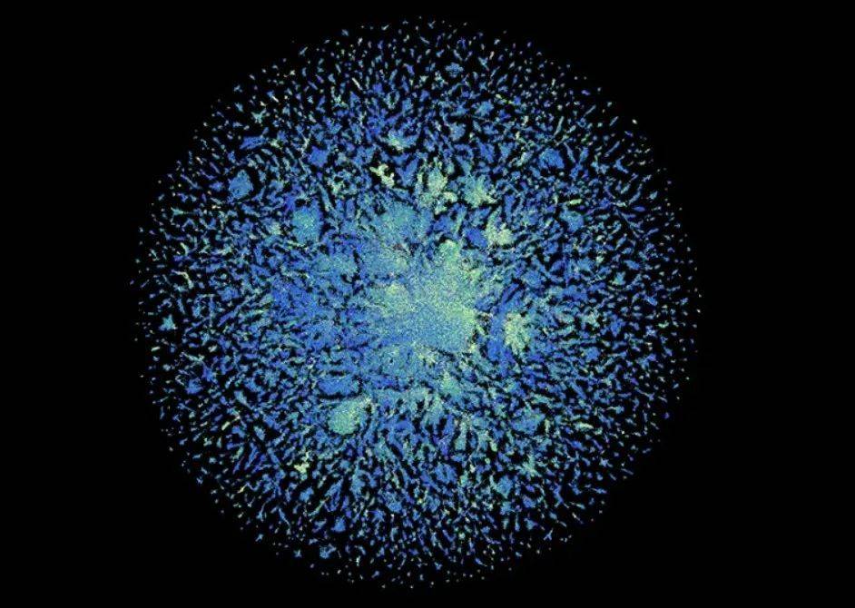 ▲ESMFold宏基因组图谱数据库包含了6.17亿个蛋白质结构（图片来源：ESM Metagenomic Atlas）<br>