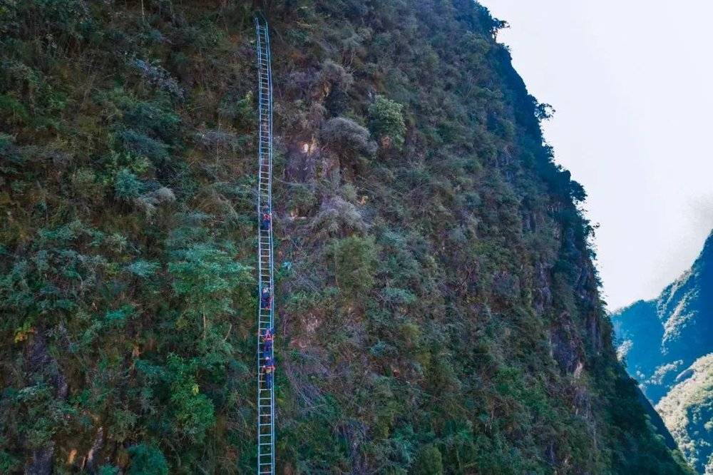 曹博文和电力检修人员在爬大凉山电网的天梯 （受访者供图）<br>