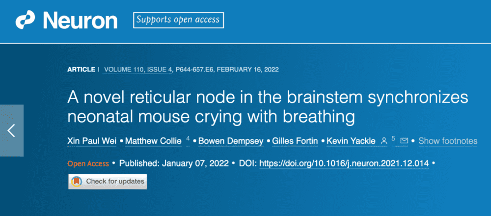 图片来源：Wei， X. et al./ Neuron 2022<br>