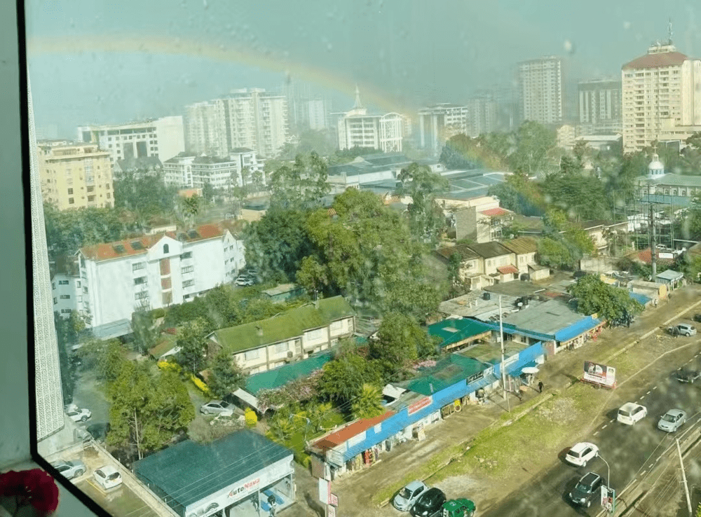 俯瞰内毕罗市中心。图源：受访者