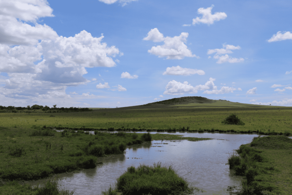 辽阔的东非大草原。图源：受访者