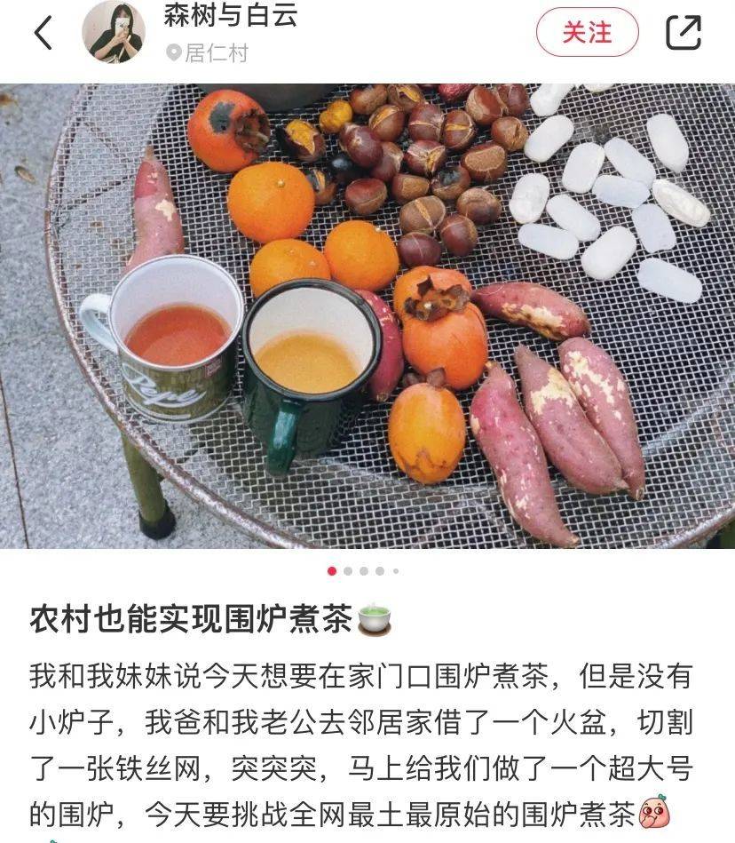 图源：小红书博主@森树与白云