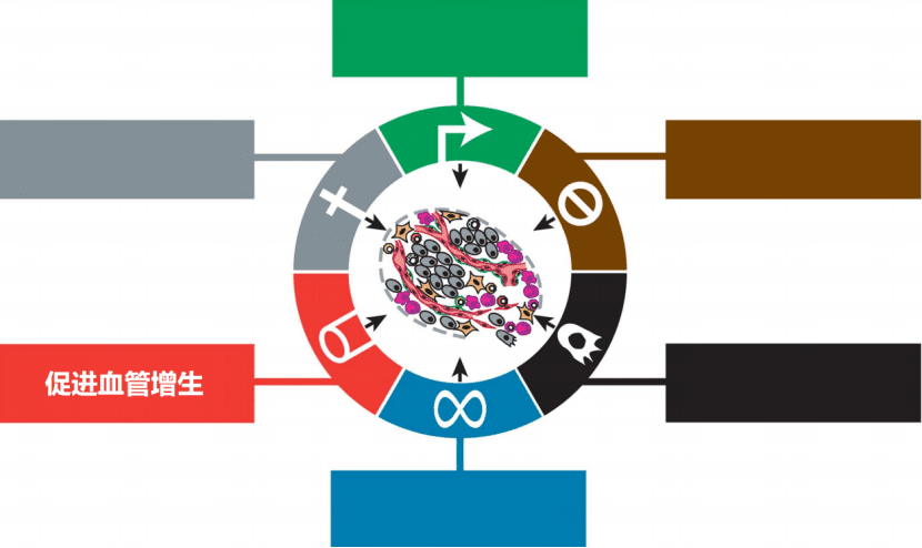 图片来源：Douglas Hanahan and Robert A. Weinberg The Hallmarks of Cancer Cell 100， 57–70 (2000)