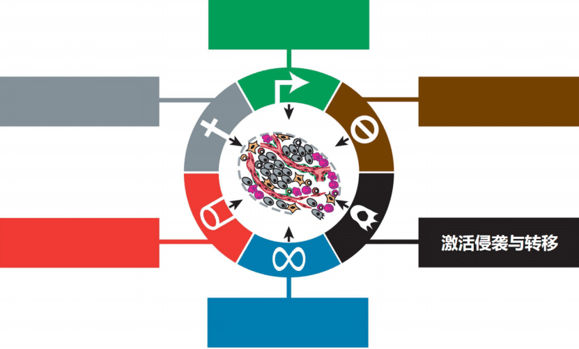 图片来源：Douglas Hanahan and Robert A. Weinberg The Hallmarks of Cancer Cell 100， 57–70 (2000)