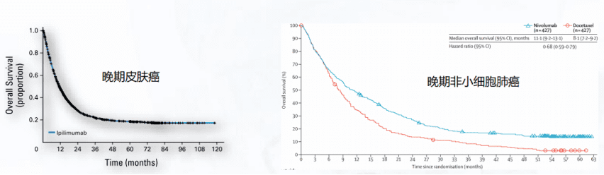 图片来源：左：Schadendorf， Dirk et al. Pooled Analysis of Long-Term Survival Data From Phase II and Phase III Trials of Ipilimumab in Unresectable or Metastatic Melanoma. Journal of clinical oncology 33， 1889-94 (2015) 右：Antonia， Scott J et al.， Four-year survival with nivolumab in patients with previously treated advanced non-small-cell lung cancer: a pooled analysis. The Lancet Oncology 20， 1395-1408 (2019)