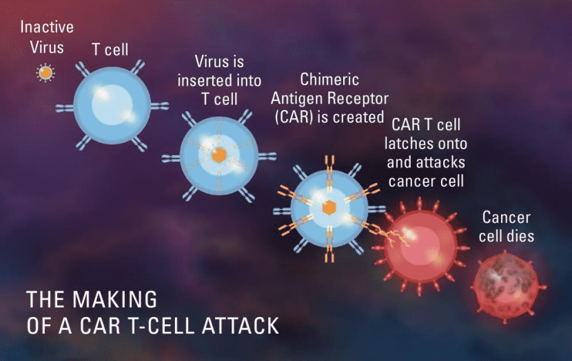 图片来源：https://blog.dana-farber.org/insight/2018/06/whats-next-car-t-cell-therapy/