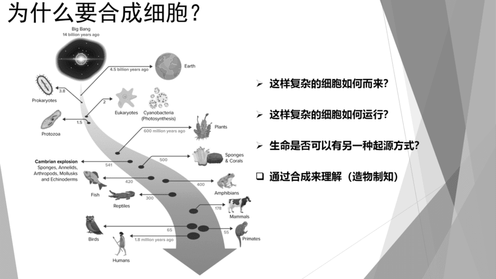 图3 合成细胞的原因所在<br>