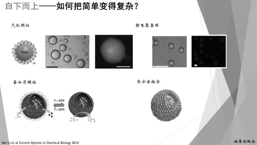 图6 自下而上组装人工细胞<br>