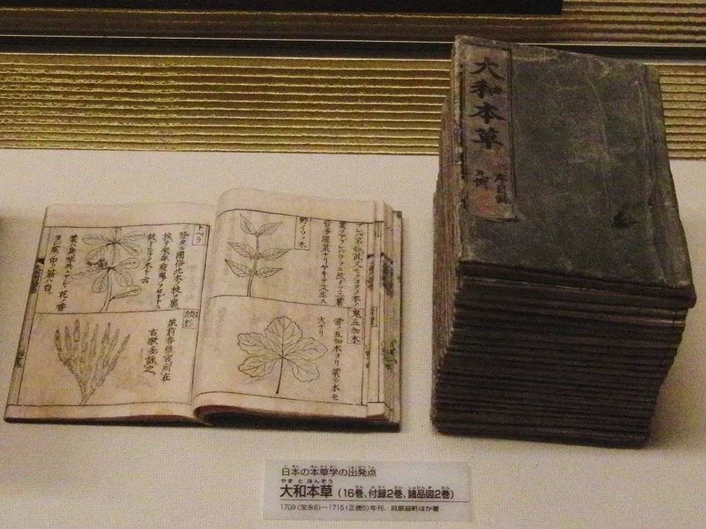 《大和本草》，日本国立科学博物馆展示<br>