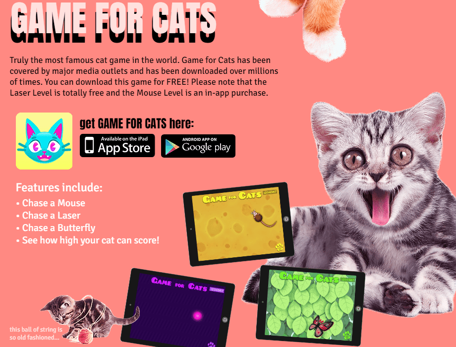 《Game for cats》