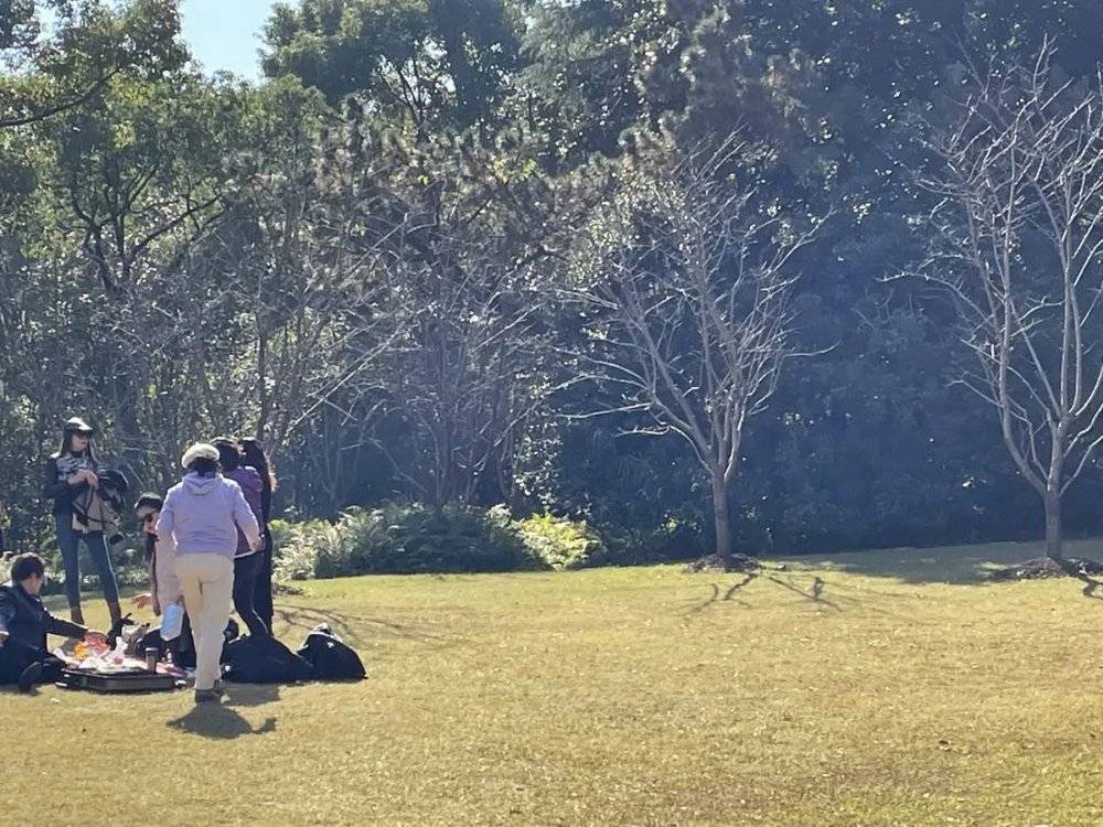 复兴岛公园里结伴野餐的阿姨/摄于2021年11月