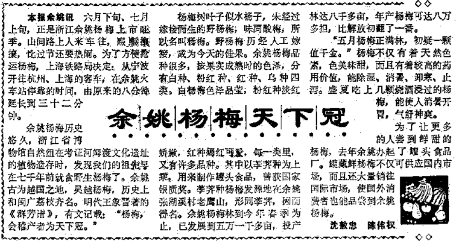 1985年7月7日《新民晚报》上关于火车抢运杨梅的报道