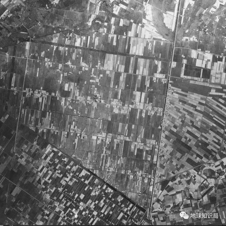 从幕末到战后，北海道农业逐渐成熟，上世纪50~60年代，札幌附近的水稻田——美军镜头下的田野，图：国土地理院資料