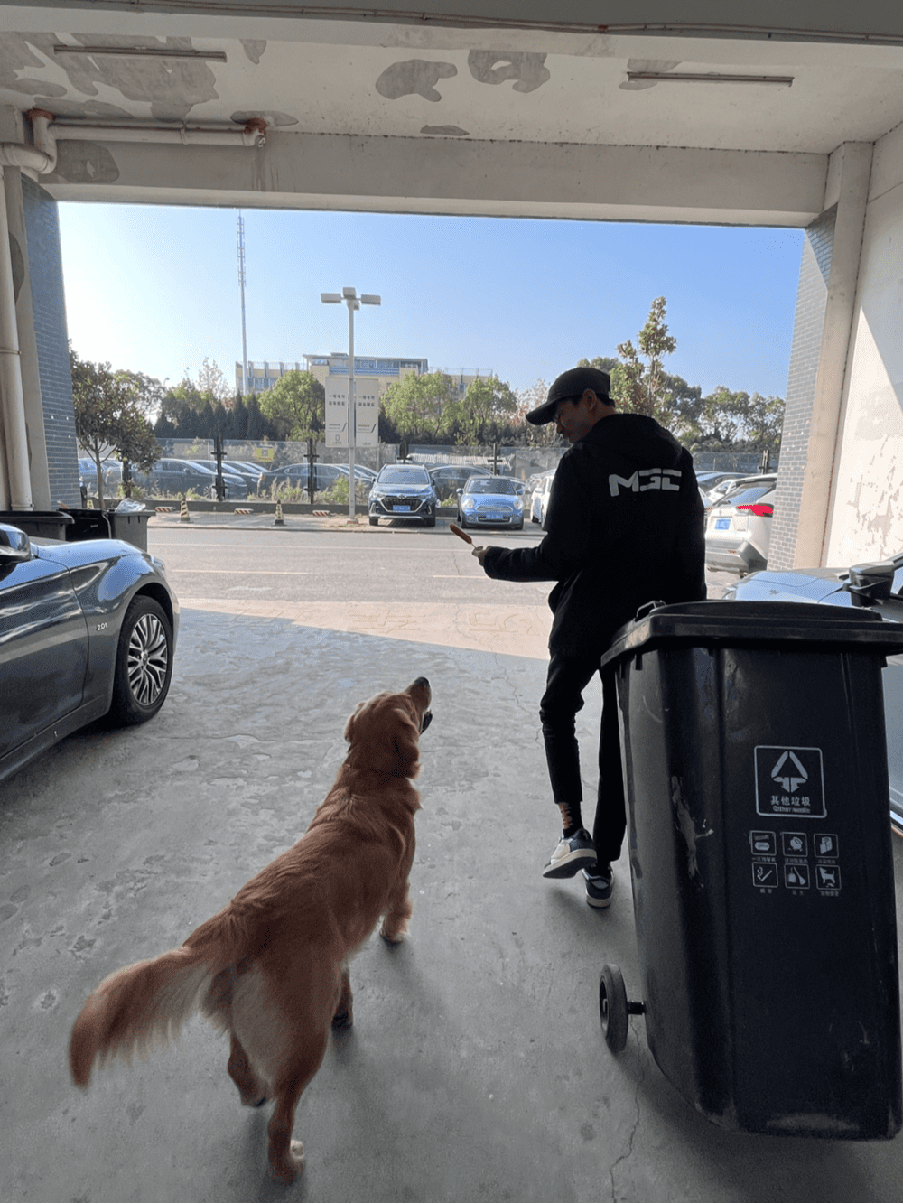 和小王一起倒垃圾的路上偶遇小狗