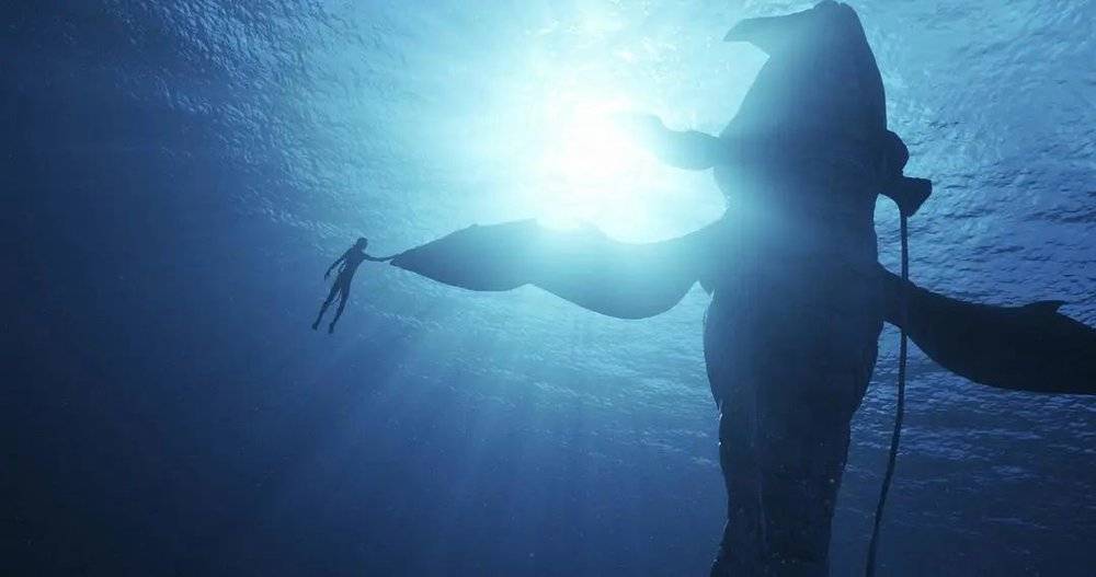 图鲲是潘多拉星球上的一种大型海洋生物，它的原型应当是地球上的鲸｜《阿凡达：水之道》<br>