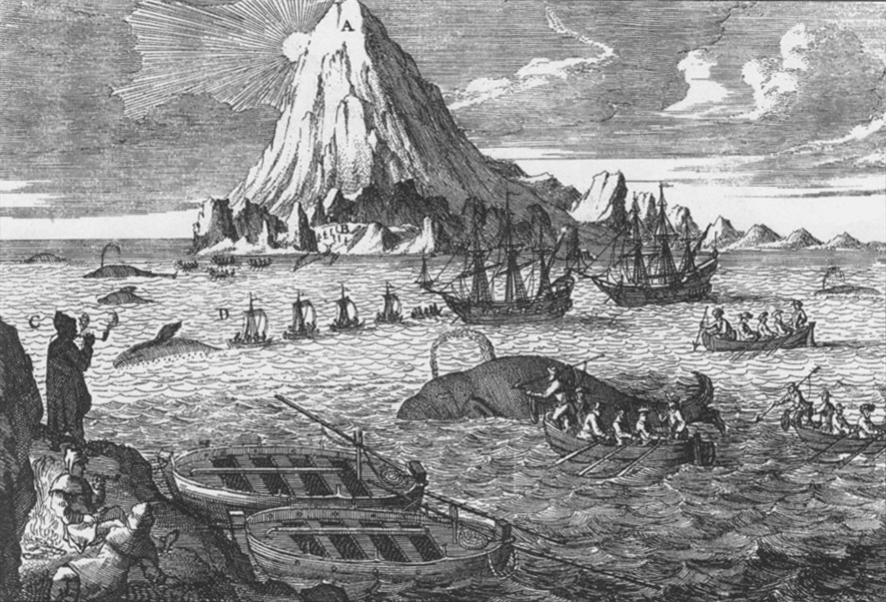 描绘荷兰捕鲸船在北极海域捕杀弓头鲸的版画｜Ellis， R. / Monsters of the Sea<br>
