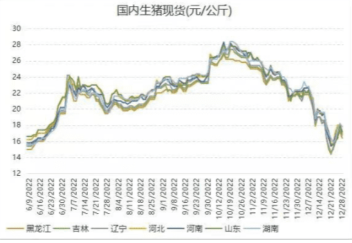 图源：国新国证期货<br>