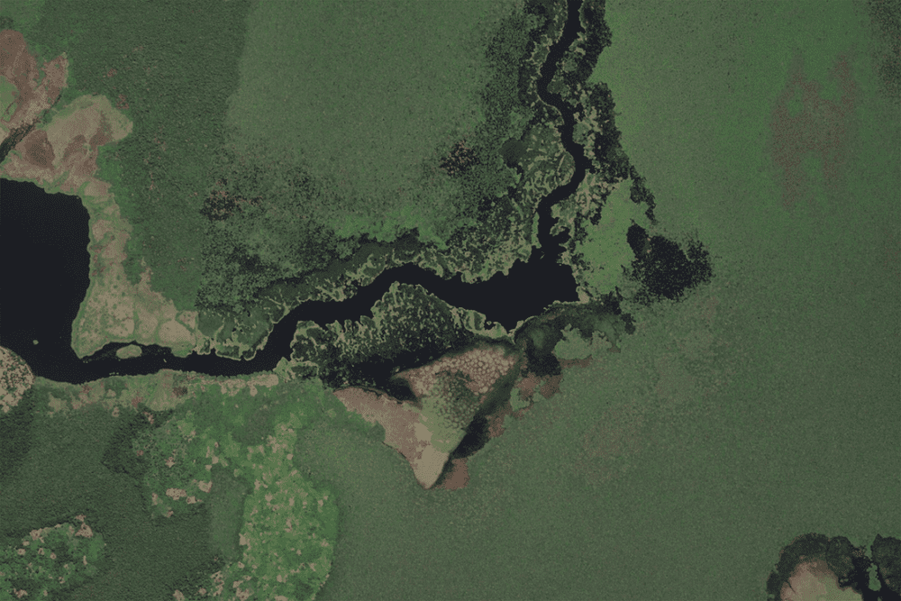 ●刚果民主共和国刚果盆地泥炭地的卫星图像 / Microsoft Zoom Earth<br>