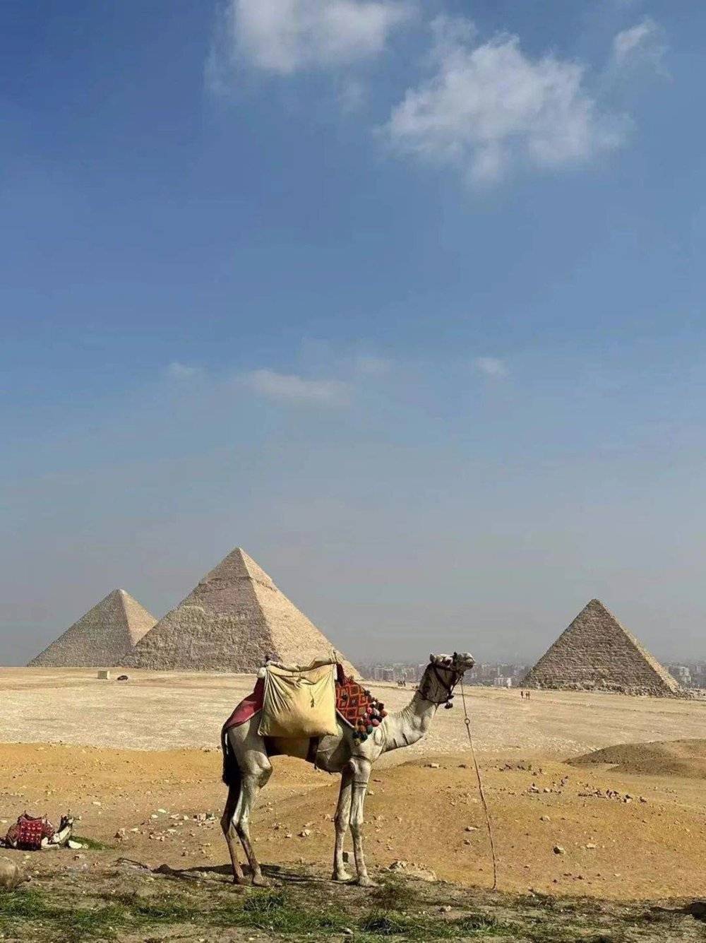 （在埃及金字塔前，受访者供图）<br>